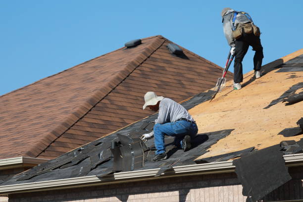 Best Storm Damage Roof Repair  in Ralston, NE