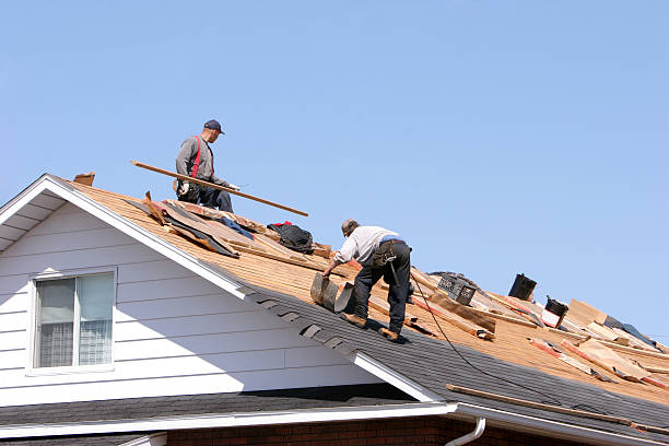 Fast & Reliable Emergency Roof Repairs in Ralston, NE